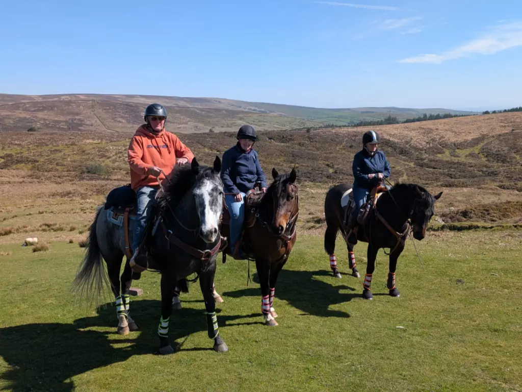 Family Riding on Dartmoor