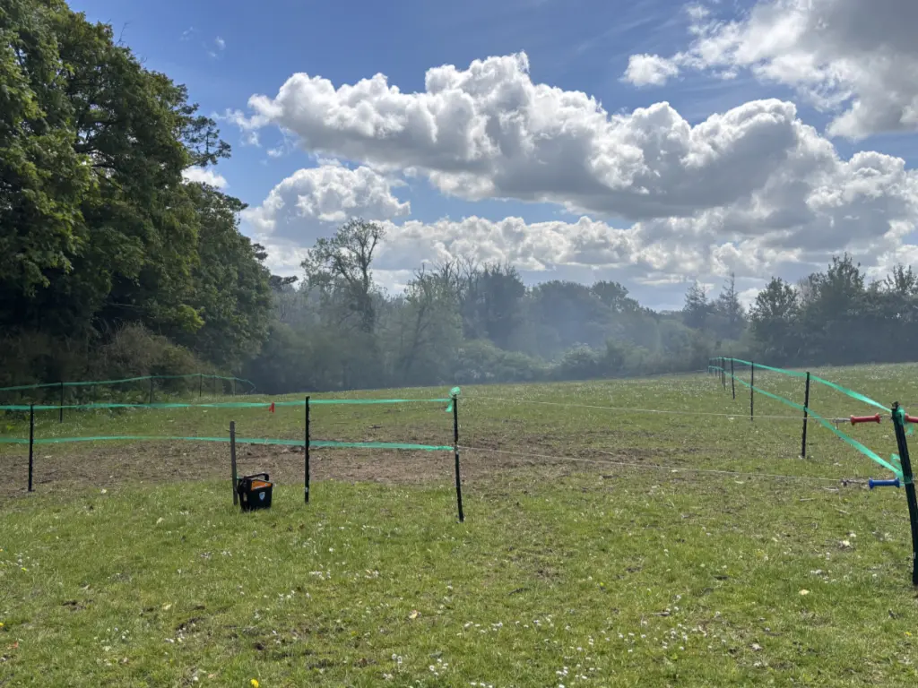 Bring Your Horse - Paddock