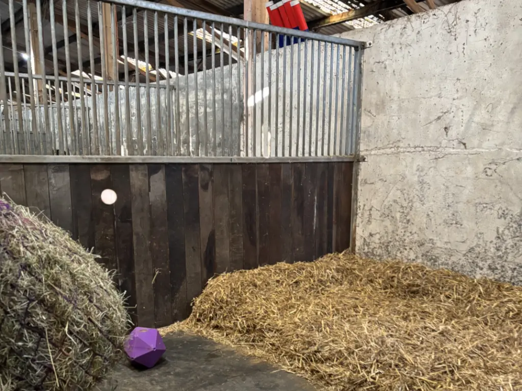 Dockwell Farm Stables