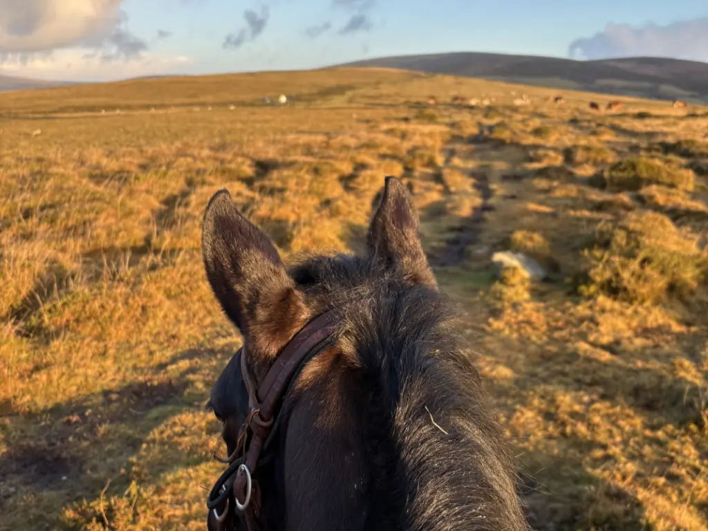 Dusk Ride on Dartmoor