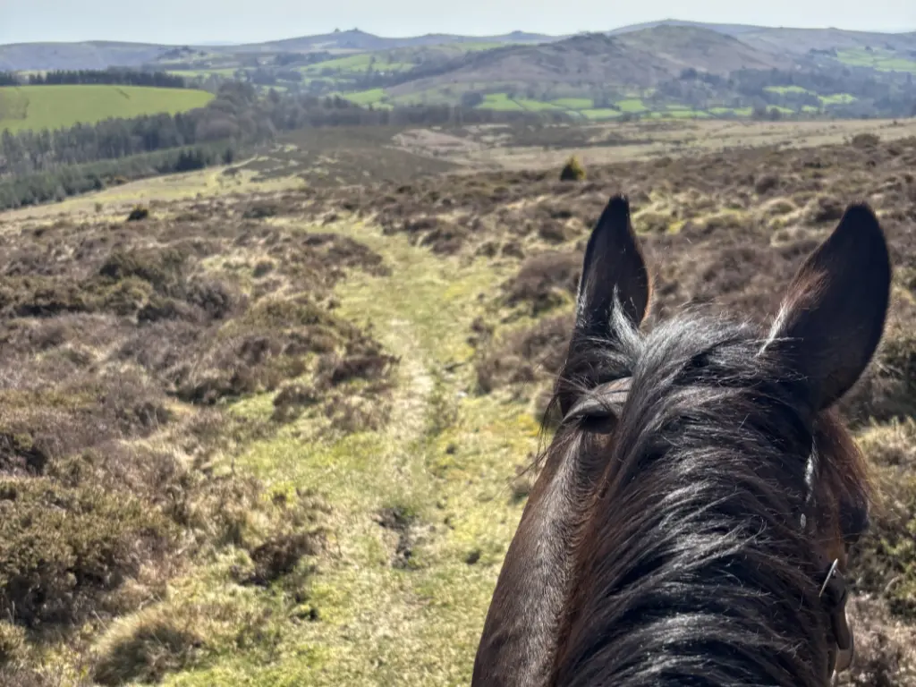 Riding Trail Dartmoor