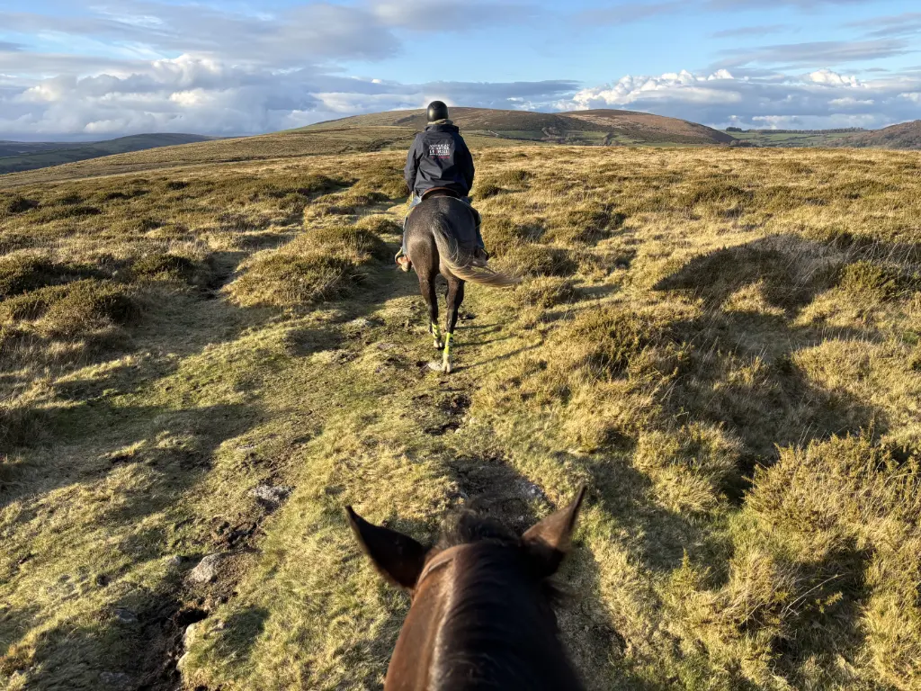 Riding on Dartmoor