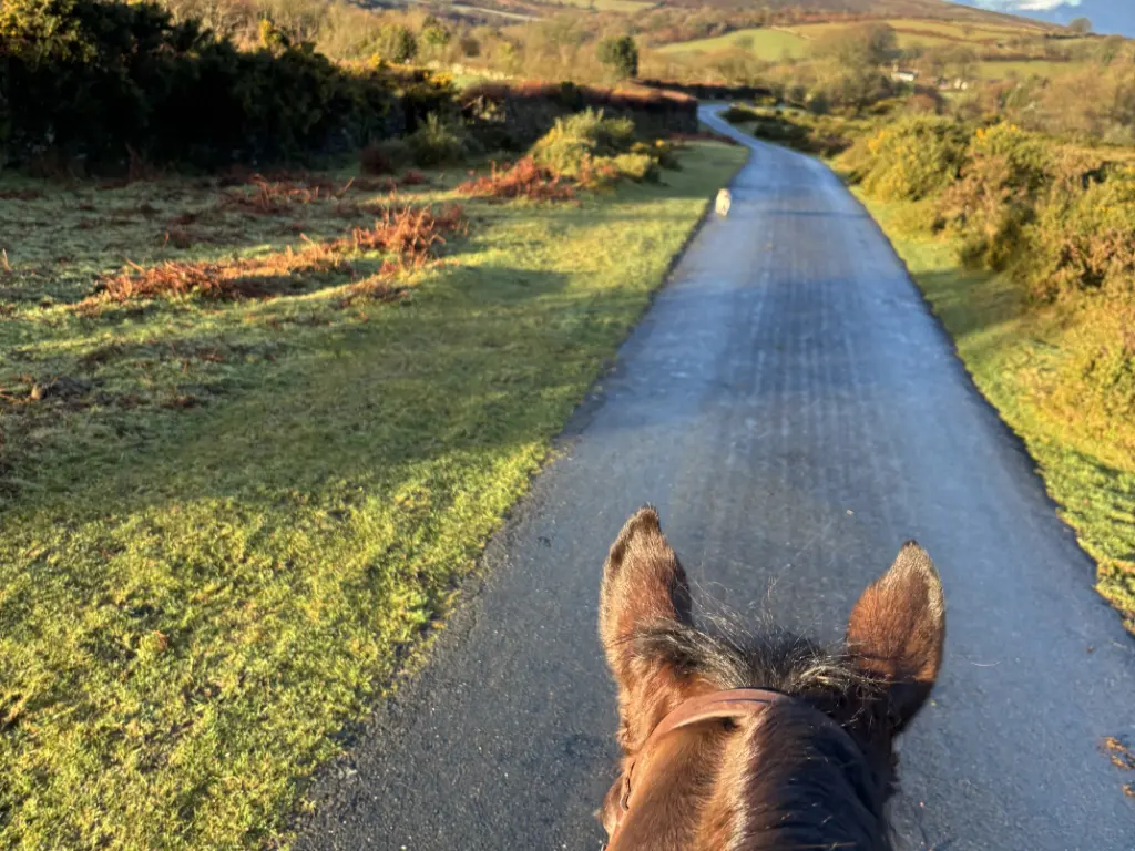 Riding on Country Road