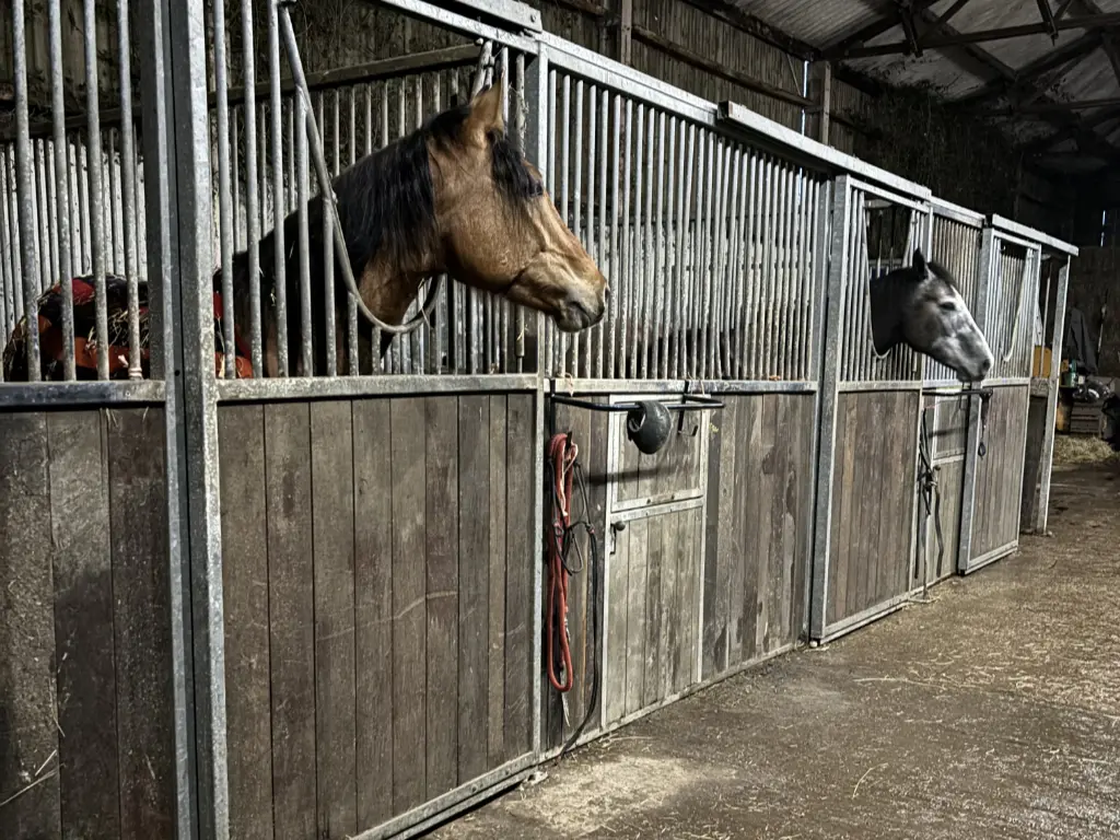 Bring Your Horse - Stables
