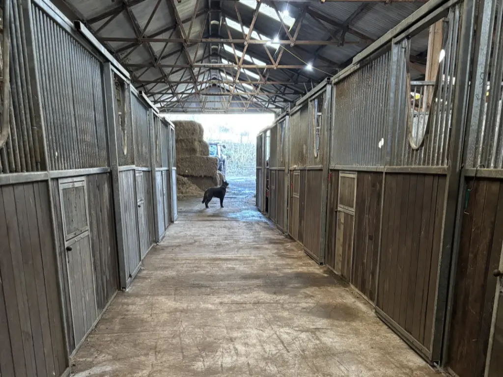 Bring Your Horse - Stables