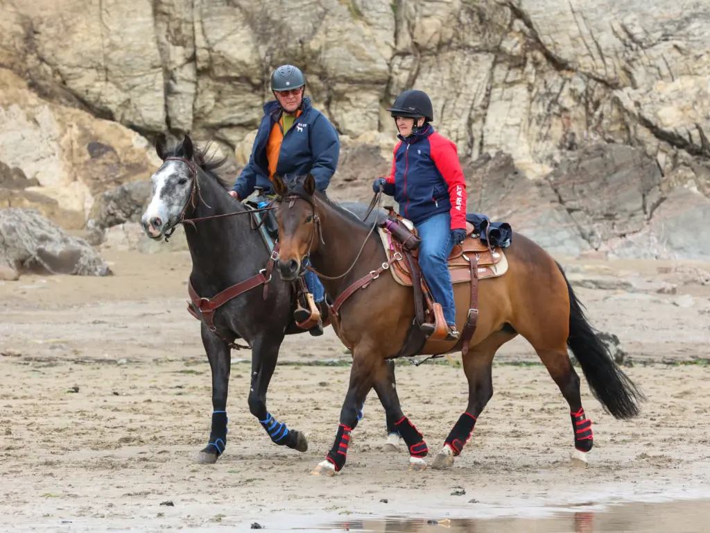 Bring Your Horse Mothercombe Beach