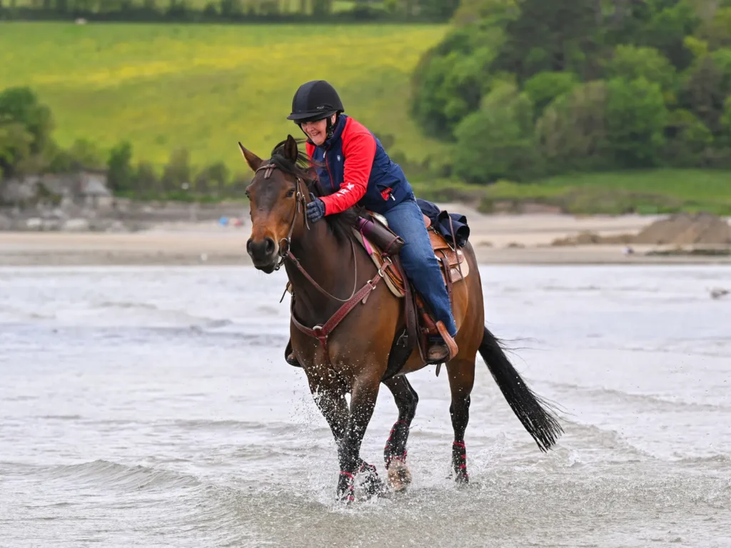 Bring Your Horse Mothercombe Beach