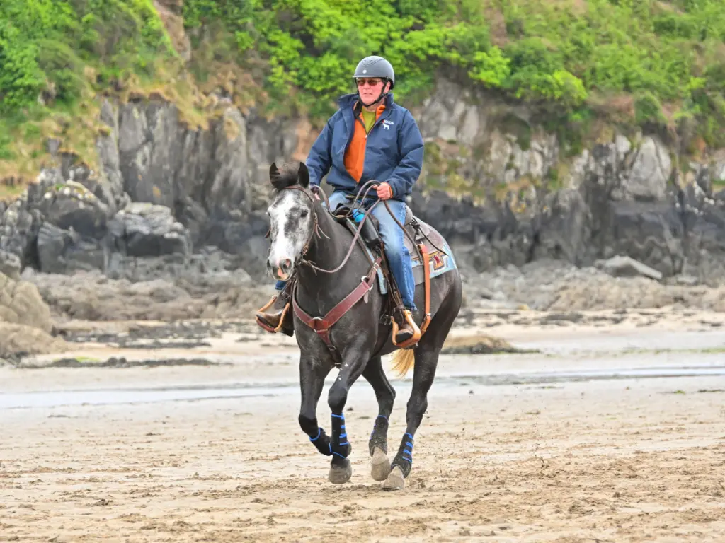 Bring Your Horse Mothercombe Beach