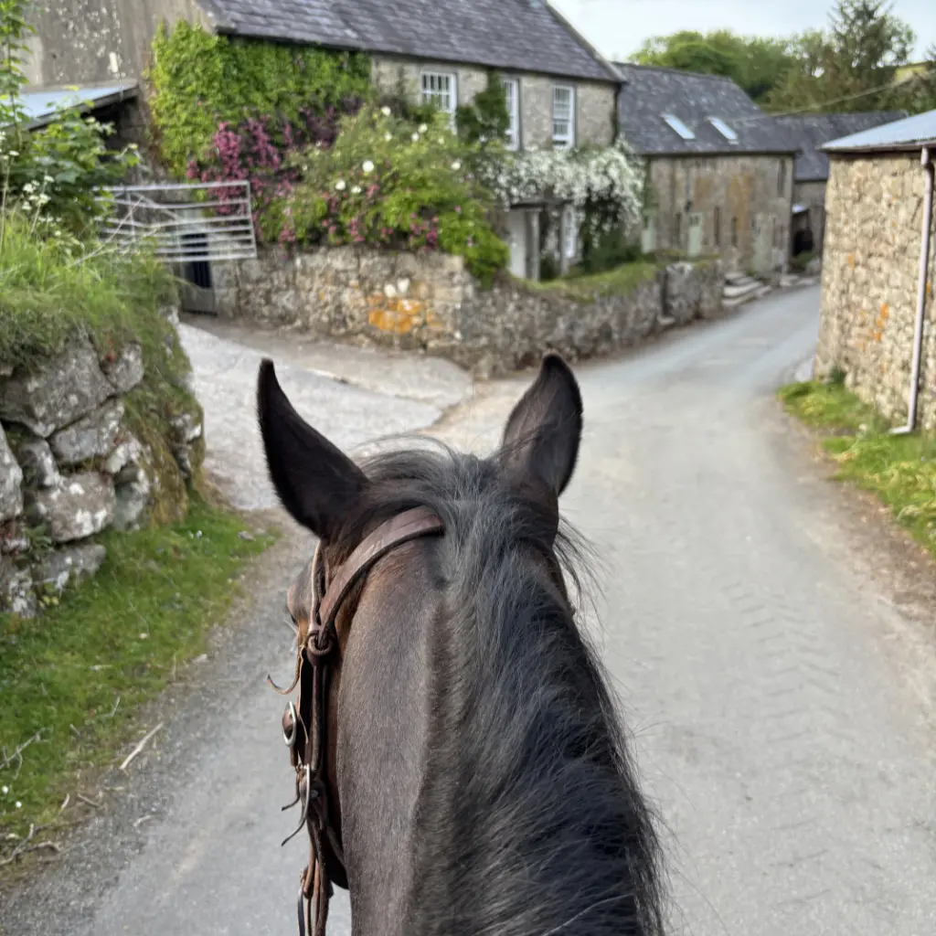 Bring your horse on holiday